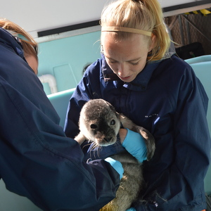 Fundraising Page: Sarah Callan